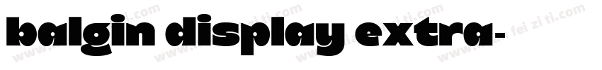 balgin display extra字体转换